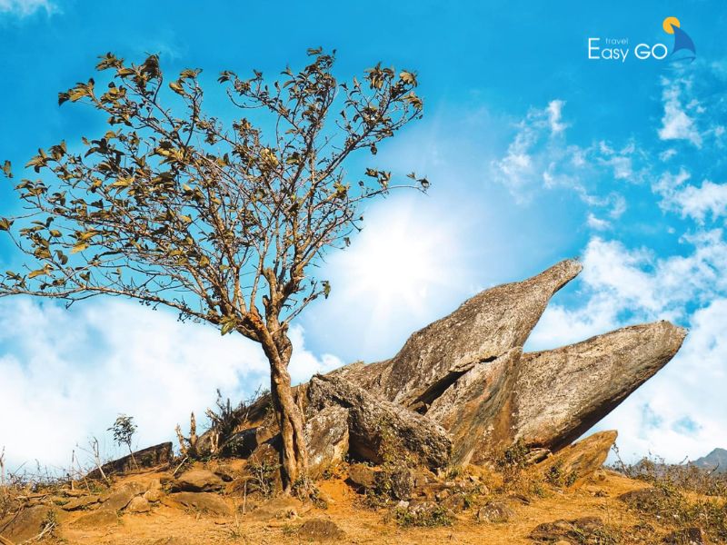 Mỏm cá heo là địa điểm check in độc đáo