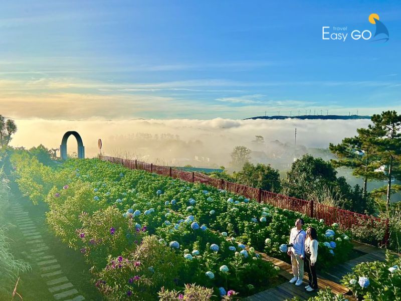 Khu du lịch Đồi Mây Đà Lạt