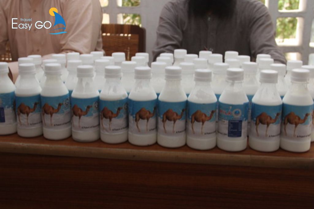 Sữa Lạc Đà Mông Cổ