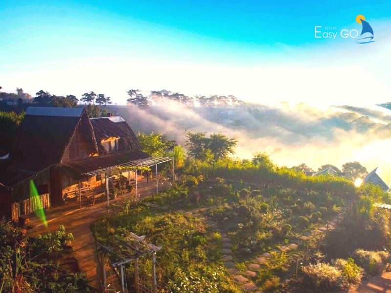 Từ Bình Yên House Đà Lạt nhìn bao quát thành phố