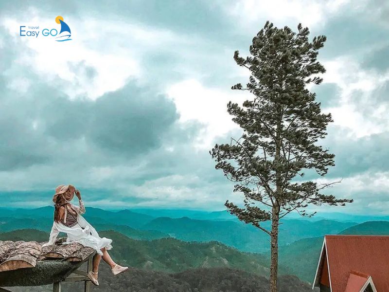 Tour săn mây Đà Lạt của Easy Go Travel