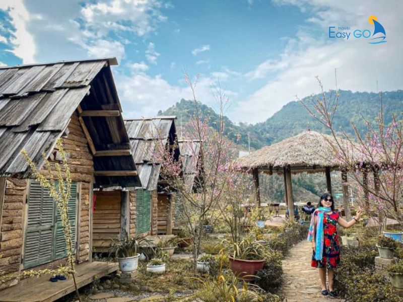 Liên hệ trực tiếp với homestay có thể có giá rẻ hơn