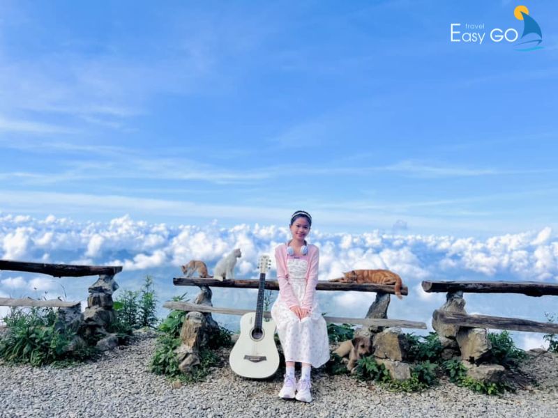 Địa điểm check in cực chill tại Lu Trế Homestay