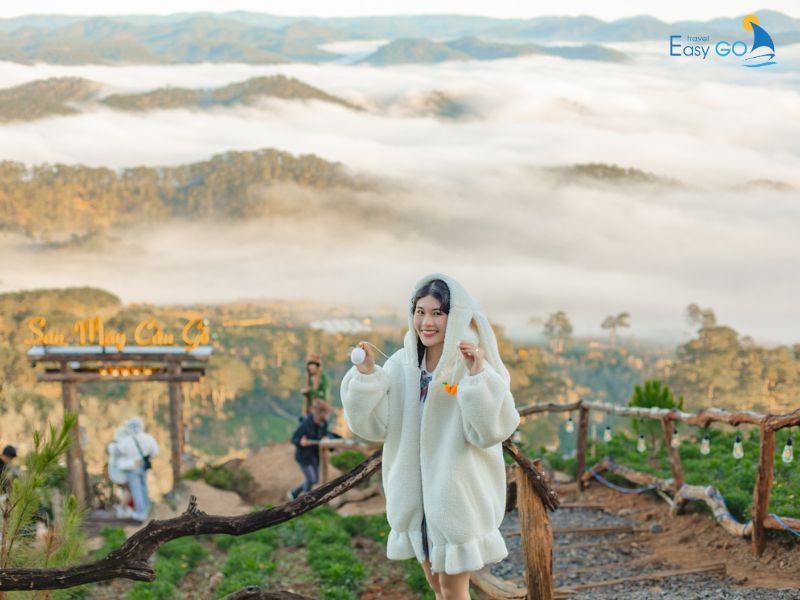 Check in Săn mây Đà Lạt vào buổi sáng