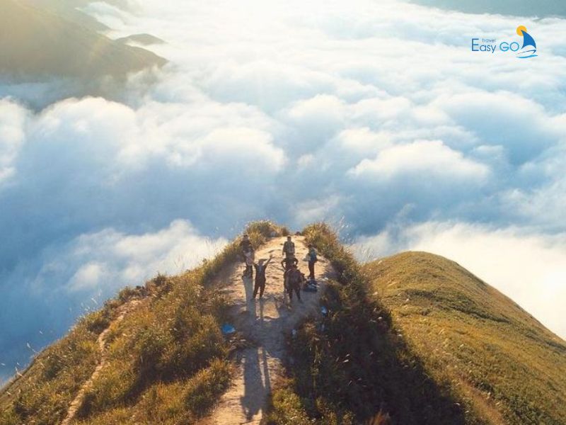 Sống lưng khủng long hùng vĩ