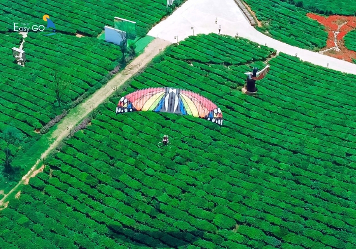 Hoạt động bay dù lượn