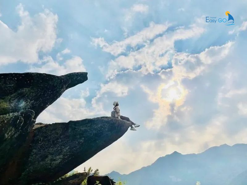 Check in với không gian rộng lớn Mỏm cá heo