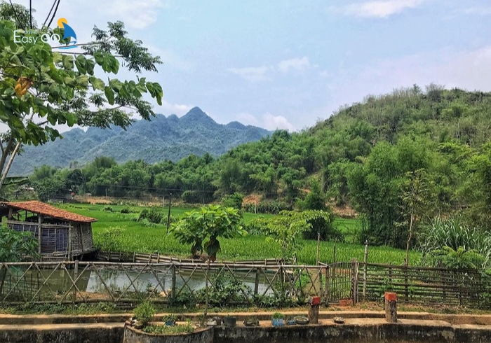 Bản Nhót