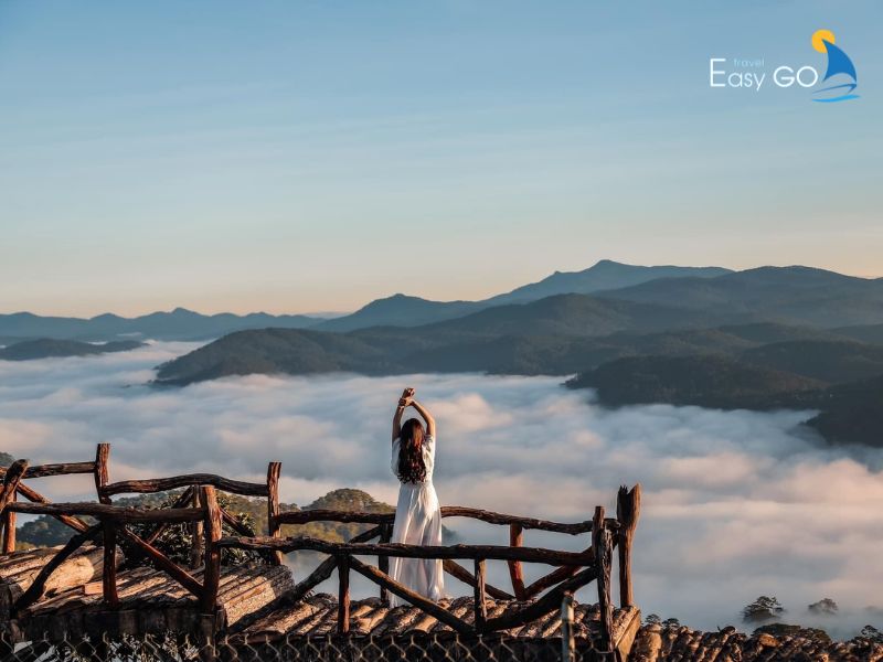 Điểm check in nổi tiếng - Đồi Chè Cầu Đất