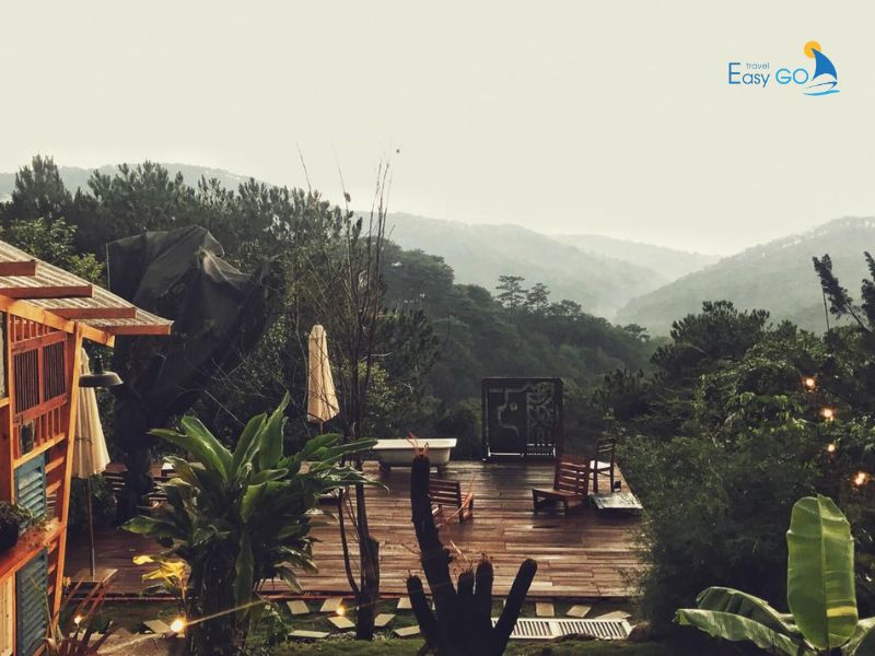 Gâu Garden Đà Lạt với nhiều cây xanh và hoa cỏ