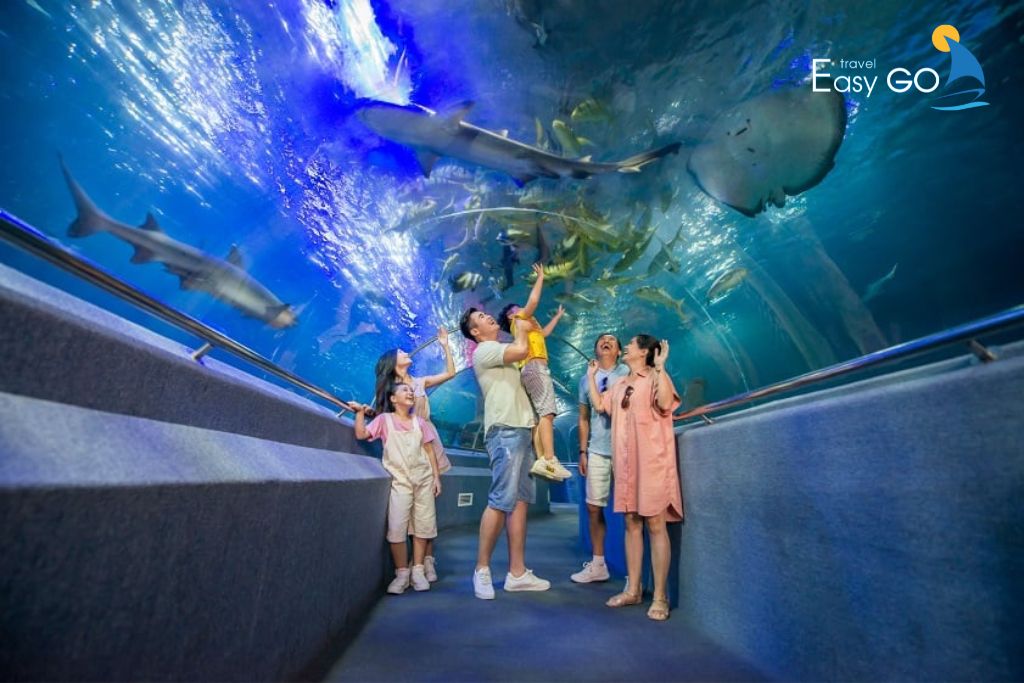 Bước đi giữa lòng đại dương tại Thủy cung Sea World Nha Trang