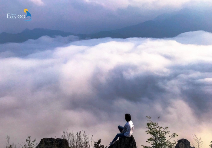 Biển mây trắng xóa tại Sapa