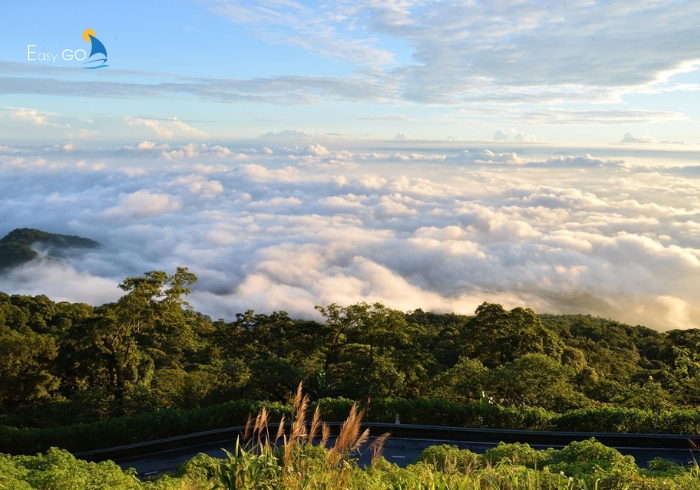 Biển mây dày đặc tại Ba Vì