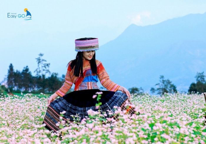 Lưu giữ khoảnh khắc tại cánh đồng hoa tam giác mạch