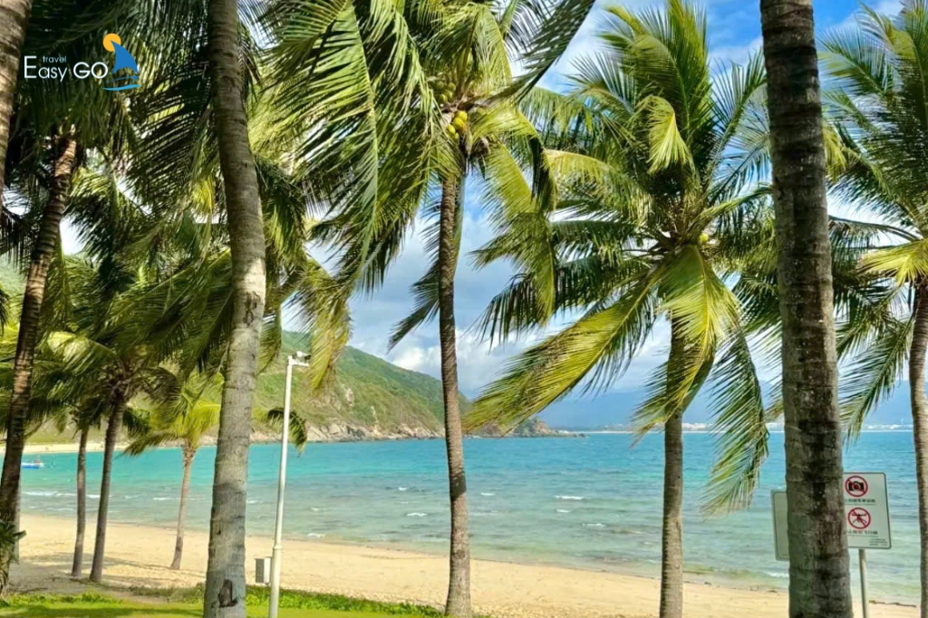 Đảo Phượng Hoàng