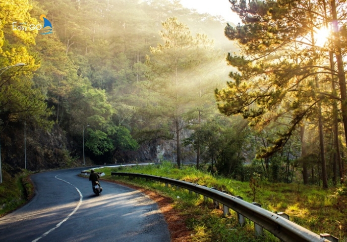 Đi xe máy đến đồi chè Cầu Đất