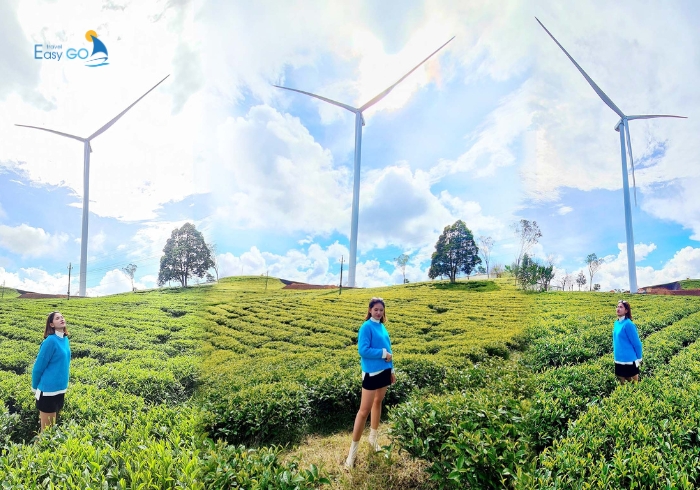 Khung cảnh con đường tuabin điện gió