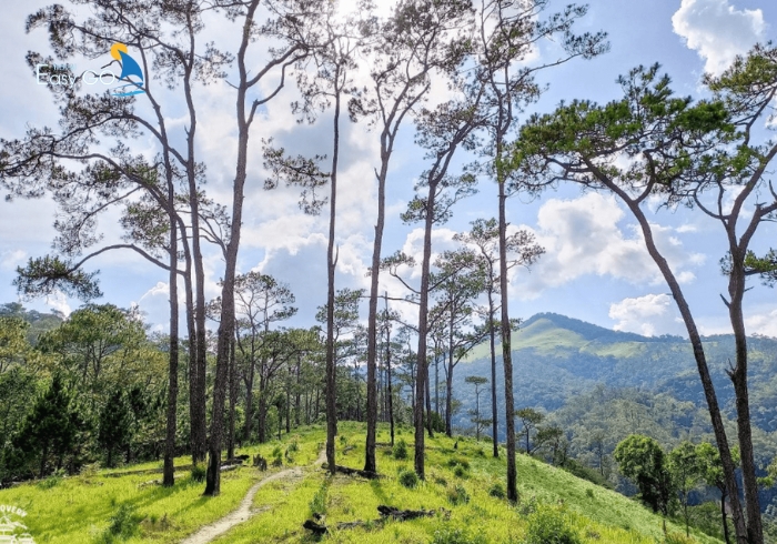 Địa điểm săn mây ở đỉnh Ngọc Lễ