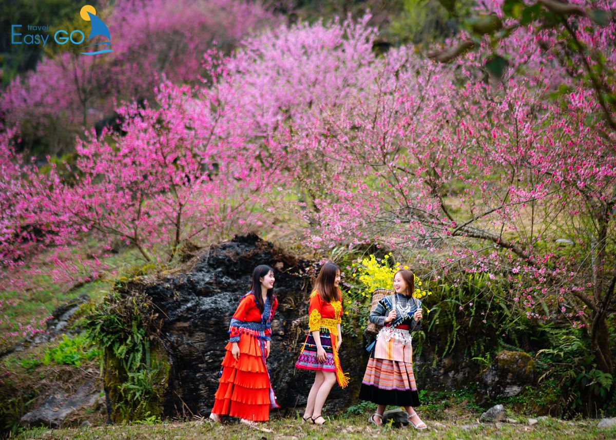 Du xuân miền Bắc với nhiều điểm hấp dẫn