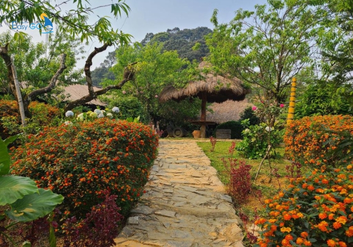 Lựa chọn nghỉ dưỡng tại homestay