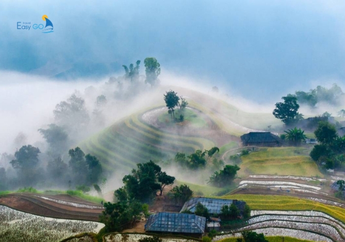 Khung cảnh biển mây ở Hà Giang
