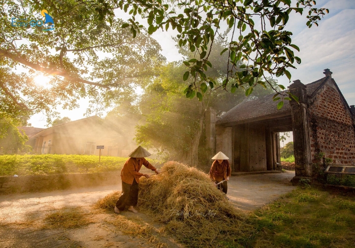 Làng Cổ Đường Lâm