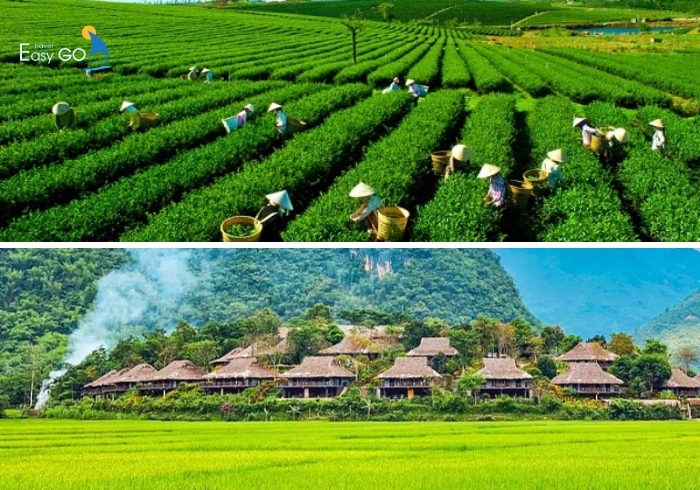 Mai Châu - Mộc Châu