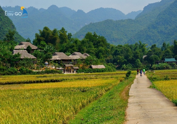 Mai Châu vào mùa thu