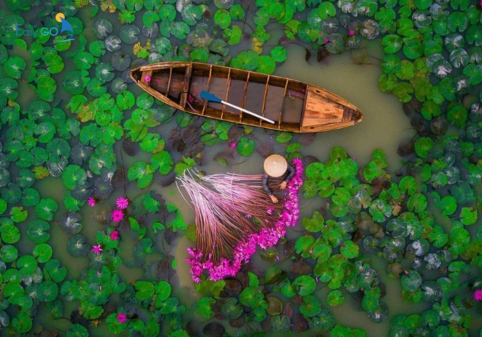 Du xuân miền Tây