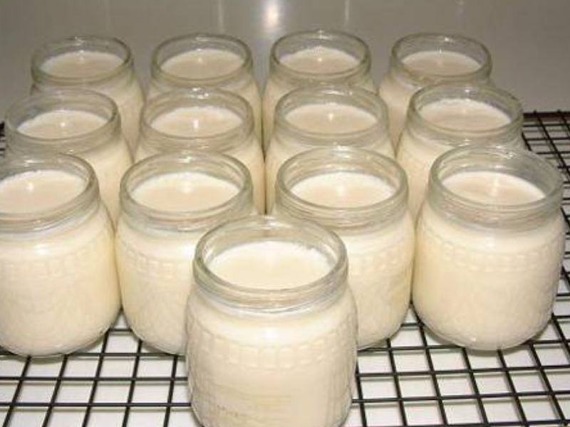 Sữa bò non Mộc Châu là món ăn đặc sản Mộc Châu được nhiều người lựa chọn