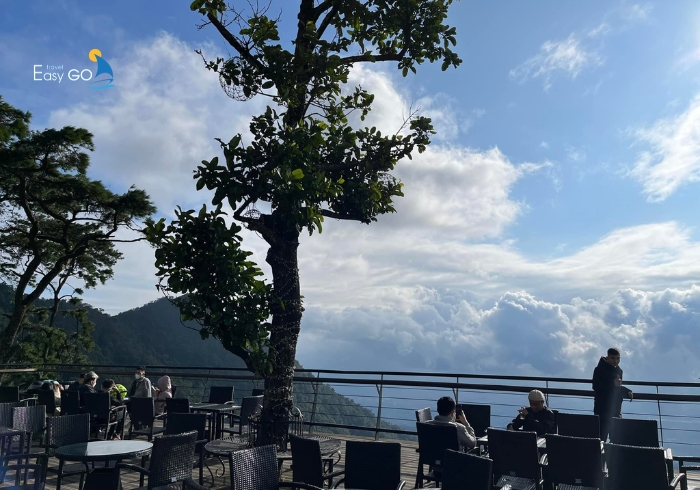Săn mây tại quán Gió Tam Đảo