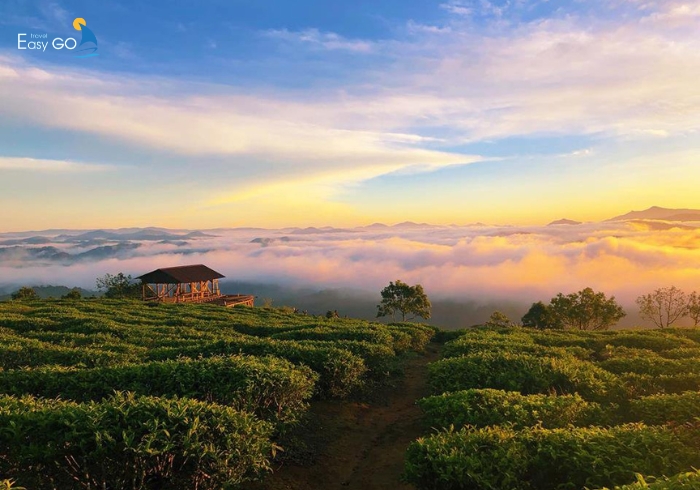 Săn mây Cầu Đất