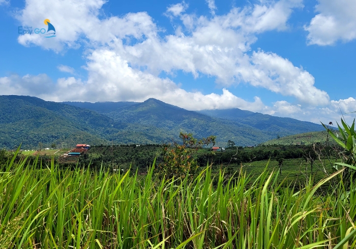 Khung cảnh ở khu 37 hộ Măng Đen