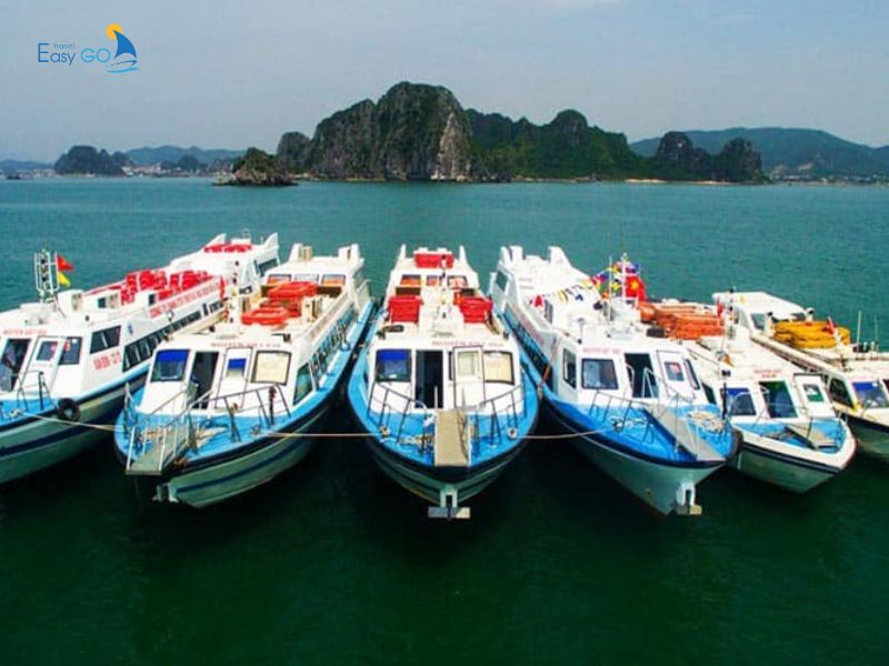 Tàu cao tốc ra đảo Cô Tô