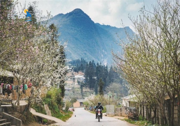 Thị trấn phó Bảng