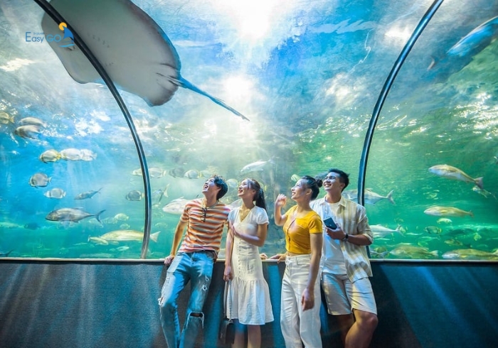 Thủy cung Vinpearl Aquarium Times City