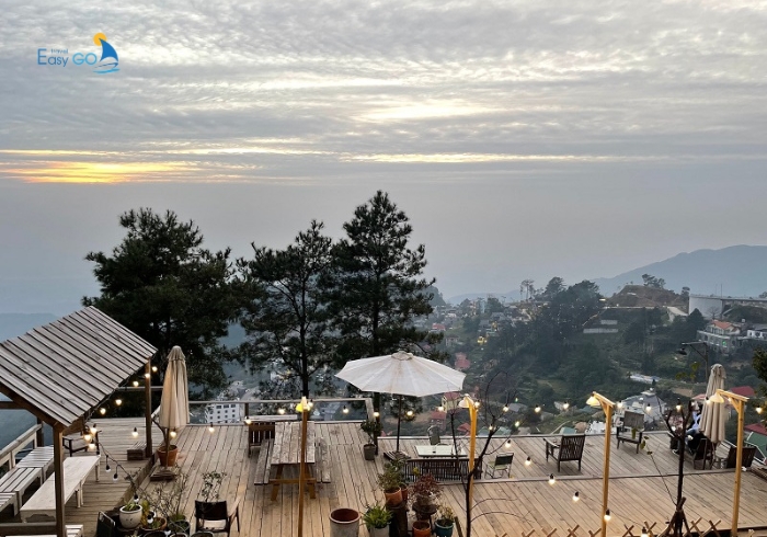 Tiệm cà phê Nhiệt Đới