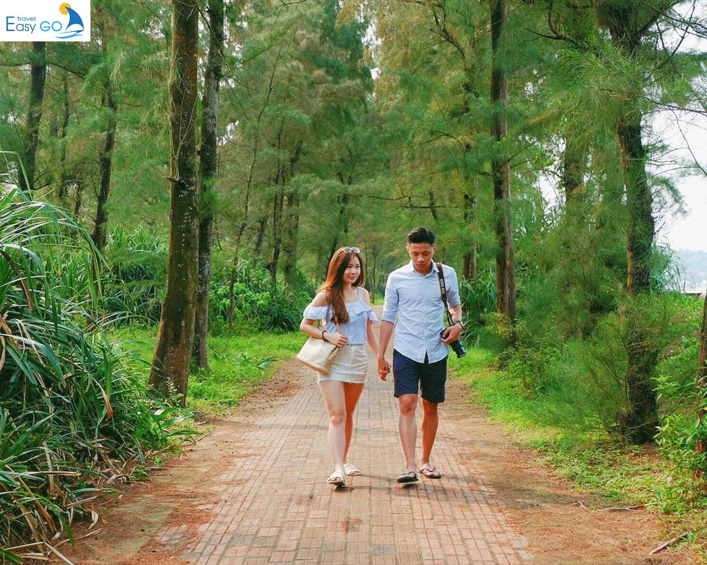 Con Đường Tình Yêu – Cô Tô