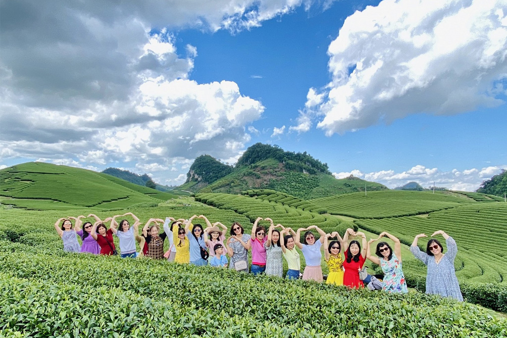 ĐỒI CHÈ TRÁI TIM Mộc Châu