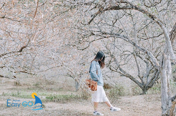 Lựa chọn trang phục đi Mộc Châu vào mùa xuân giữ ấm, năng động