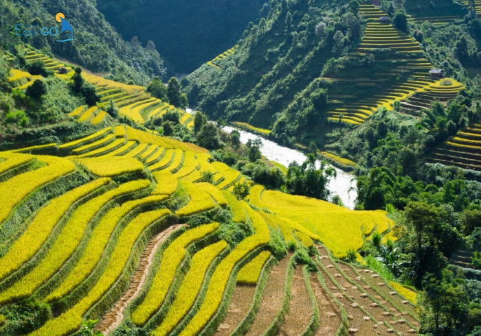 Vòng cung Tây Bắc