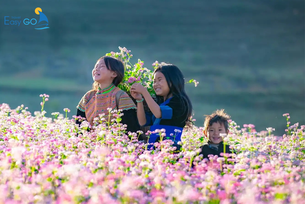 Tour du lịch Tây Bắc từ TP HCM - Tour Đông Tây Bắc 5 Ngày 4 Đêm
