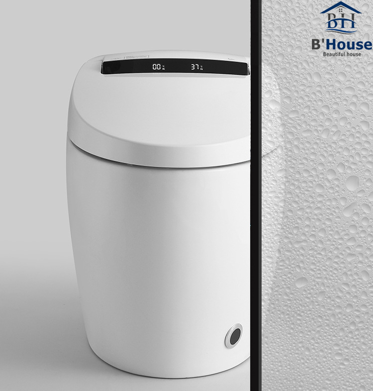 Bồn cầu thông minh giá rẻ, bồn cầu điện tử tự động BC 6905