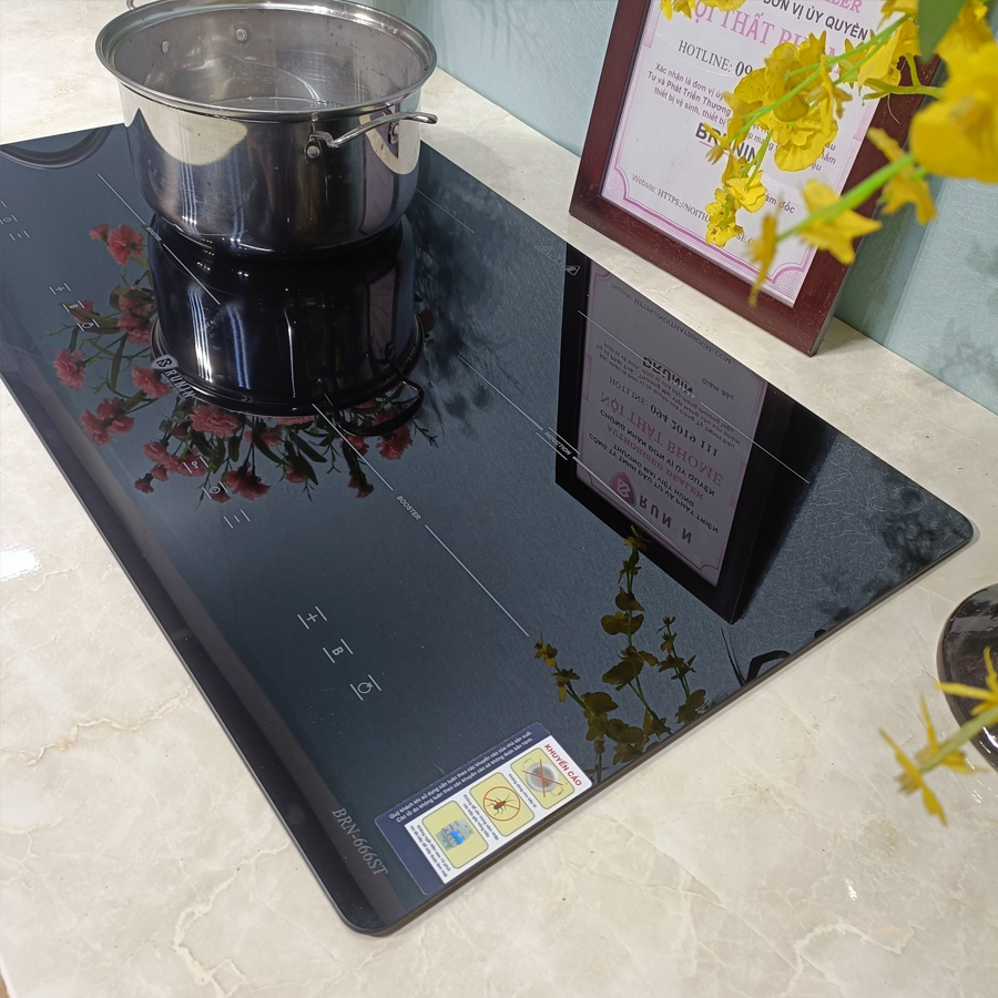 Bếp từ đôi Inverter công nghệ Đức 666ST