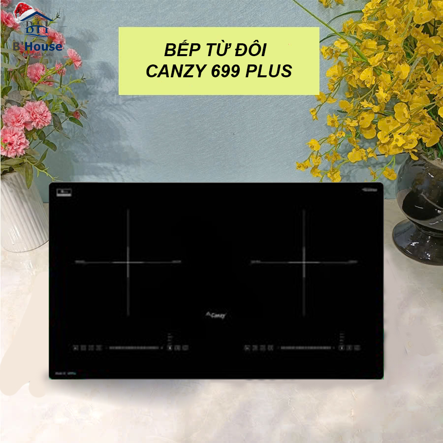 Bếp từ đôi CANZY 699 Plus