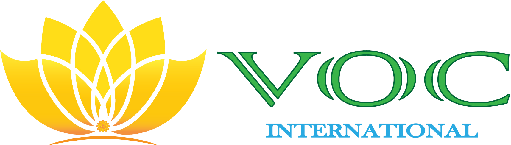 VOC VN