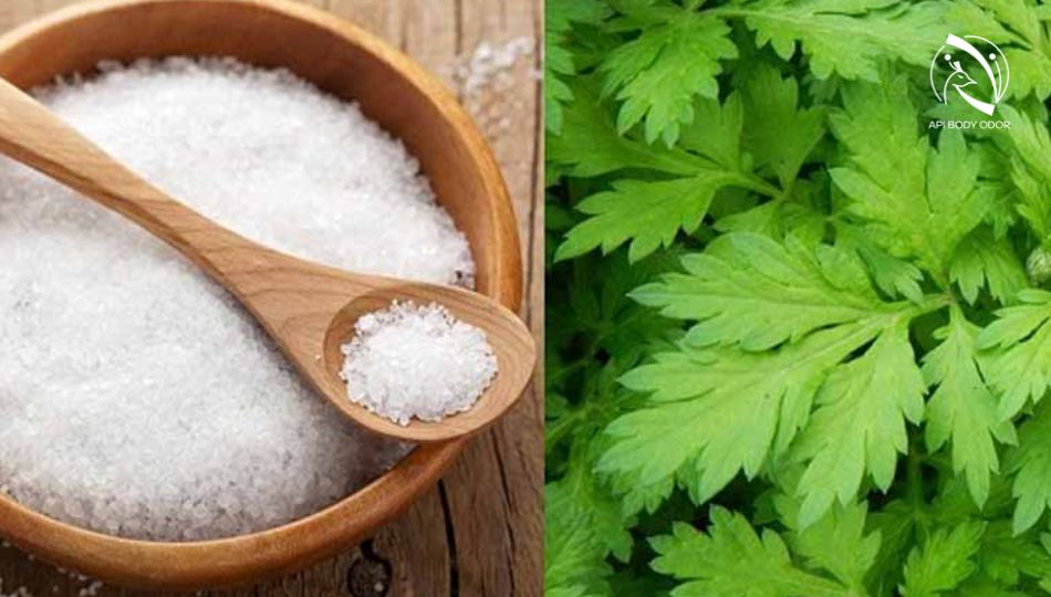 Phèn chua cùng lá ngải cứu