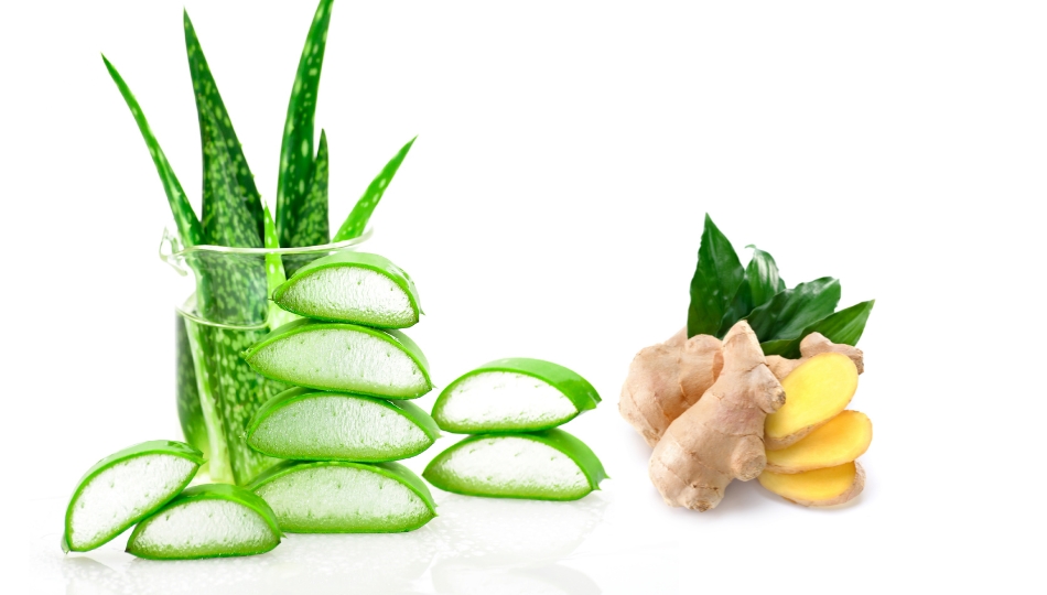 Sử dụng nha đam kết hợp với gừng