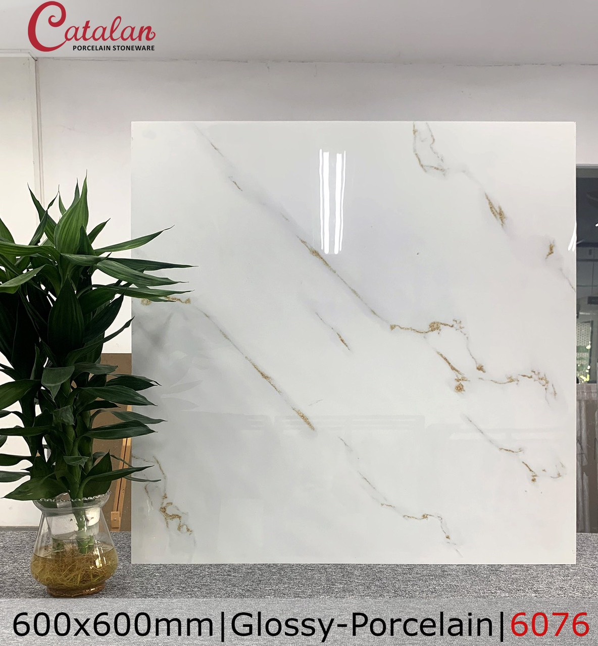 Gạch lát nền 60x60 CTL-DBK6076