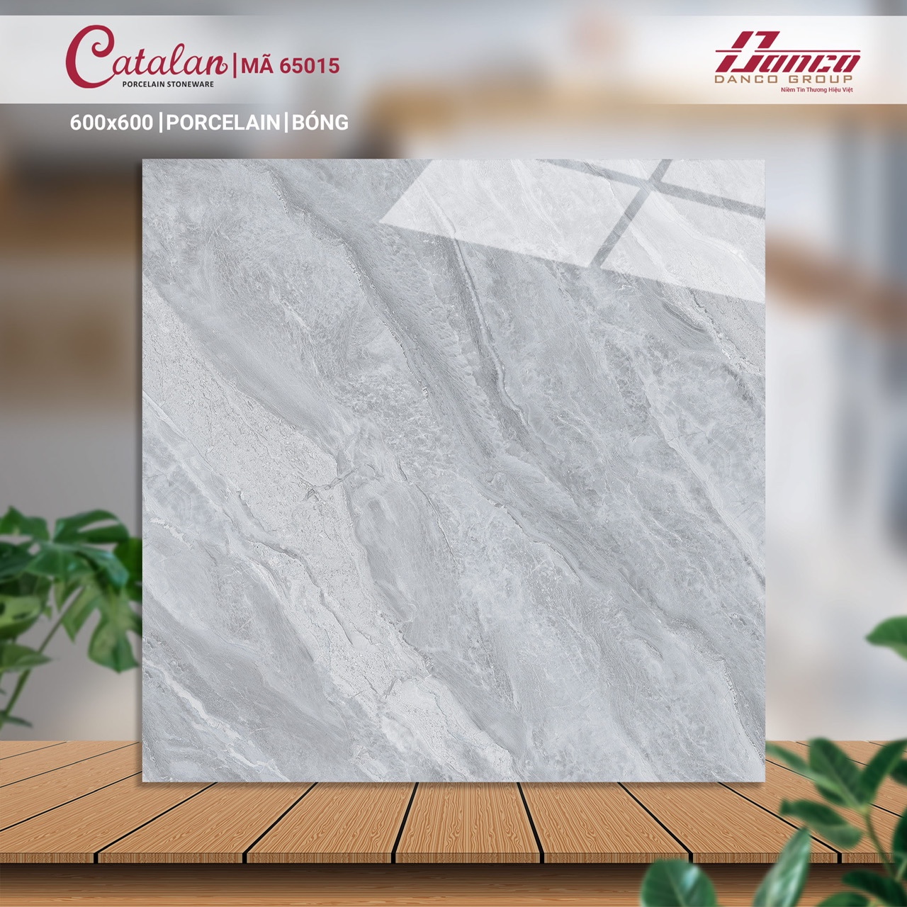 Gạch lát nền 60x60 CTL-DBK65015